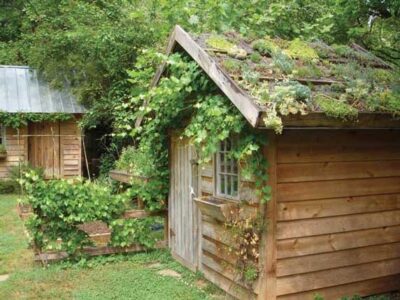 Garden Inspiration: Pinterest Finds